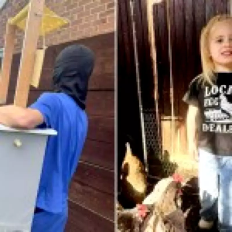 Masked Teens Ruin 4-Year-Old's Birthday by Destroying Her Egg Stand Business