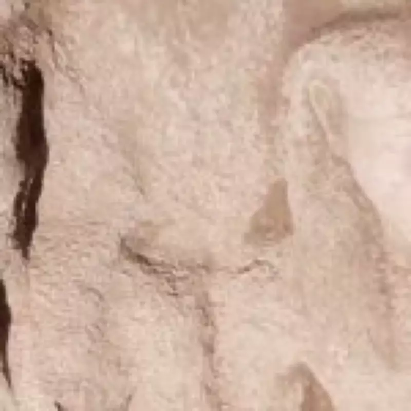 Massive Statue of Pharaoh Rameses II Unearthed in Egypt