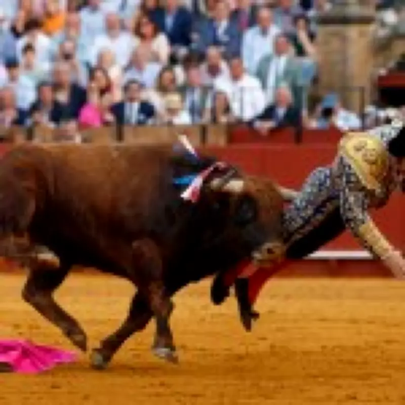 Matador Gored in Rectum: 'Karma' Says Public After Bull Attack