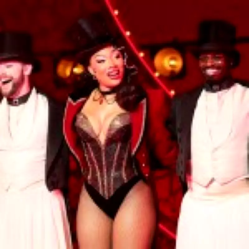 Megan Thee Stallion Hospitalized Mid-Broadway Show After Sudden Illness