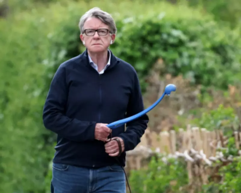 Miliband and Lammy Feared Mandelson's US Ambassadorship Could 'Blow Up'