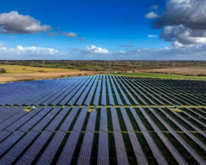 Miliband Champions Clean Energy Security Amid Global Fossil Fuel Crisis