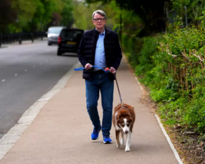 MPs Demand Full Disclosure of Mandelson Vetting Files in Security Scandal