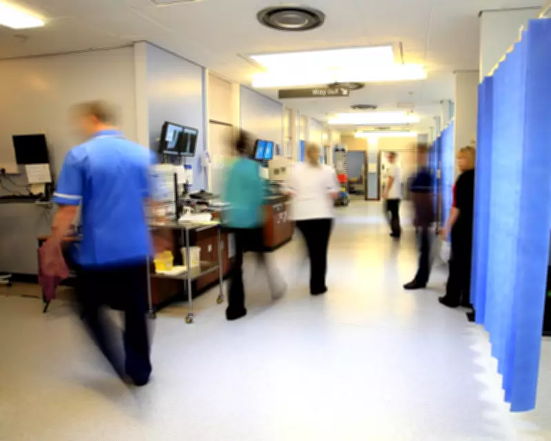 MPs Reject Palantir's 'Ideological' Claims Over NHS Data Contract Concerns