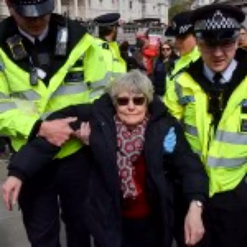 Nearly 100 Arrested at London Palestine Action Protest, Including Elderly in Camping Chairs