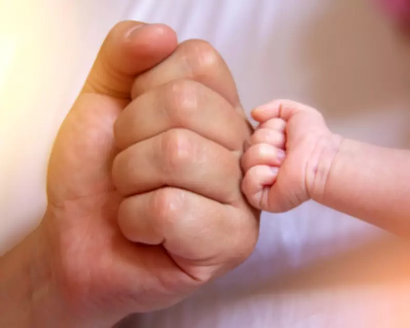 New Dads Seek Support for Modern Fatherhood Amidst Systemic Gaps