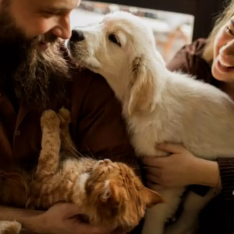 New Law Lets UK Renters Request Pets from May 1 – Vet's Advice