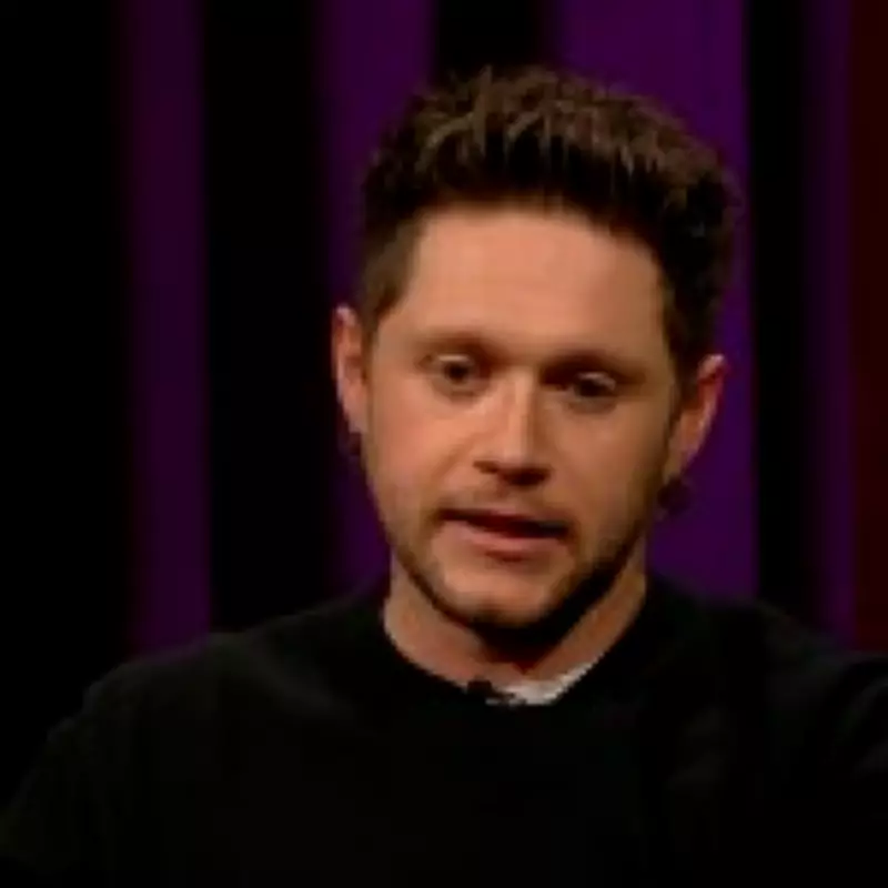 Niall Horan Reveals Grief Struggle After Liam Payne's Tragic Death