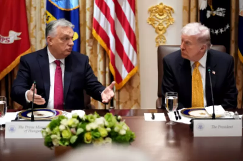 Nine Lessons from Orbán's Defeat for US Democracy Ahead of Elections