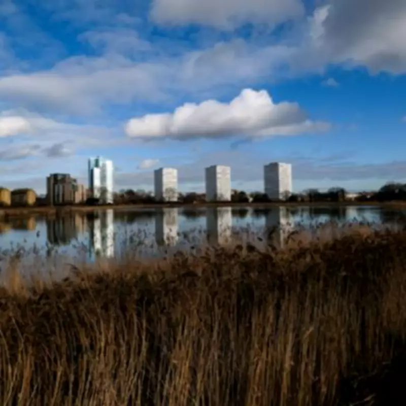 North London's Premier Family Walk: Scenic 8.7km Route Guarantees 10,000 Steps