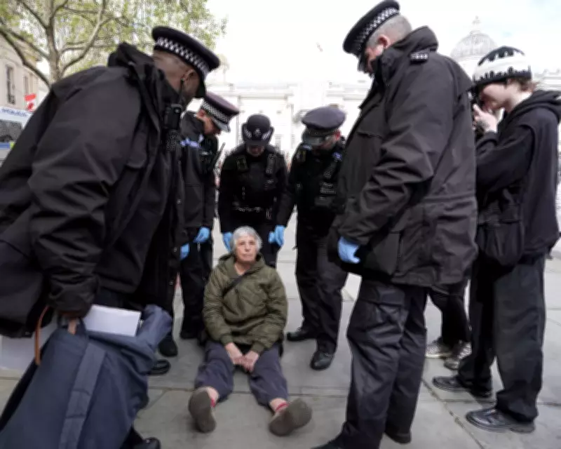 Over 90 Arrested at London Protest After Palestine Action Ban Ruled Unlawful