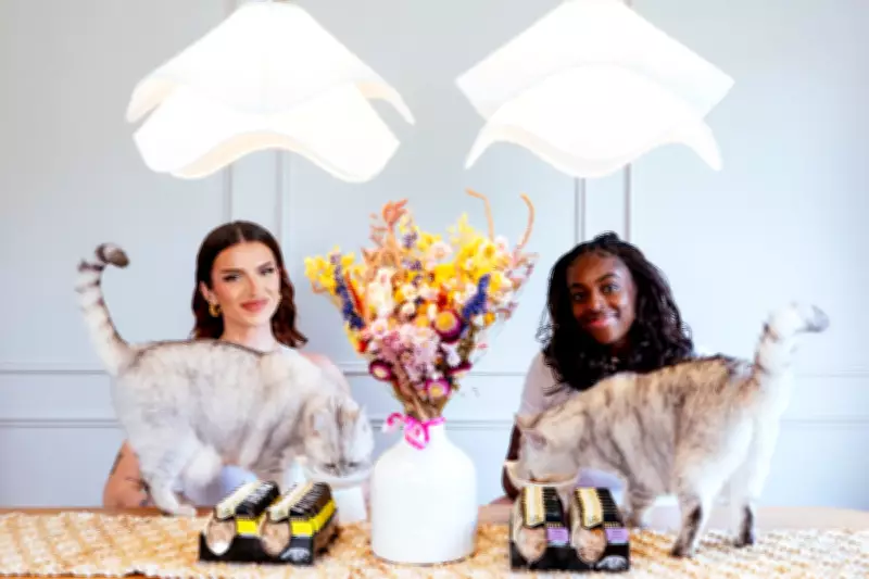 Over Half of Cat Owners Feel Ignored, Resort to Treats and Baby Talk