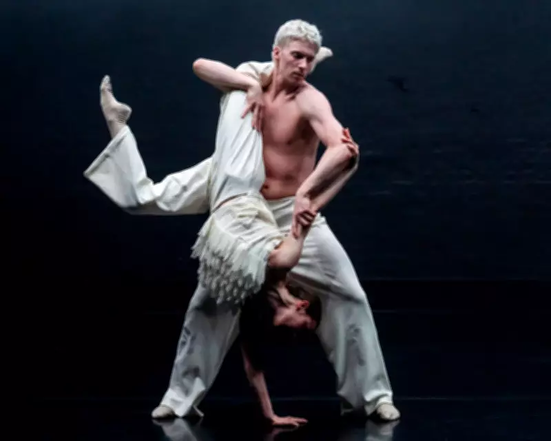 PCK Dance's 'Into the Light' Review: A Choreographic Duo's Technical Brilliance
