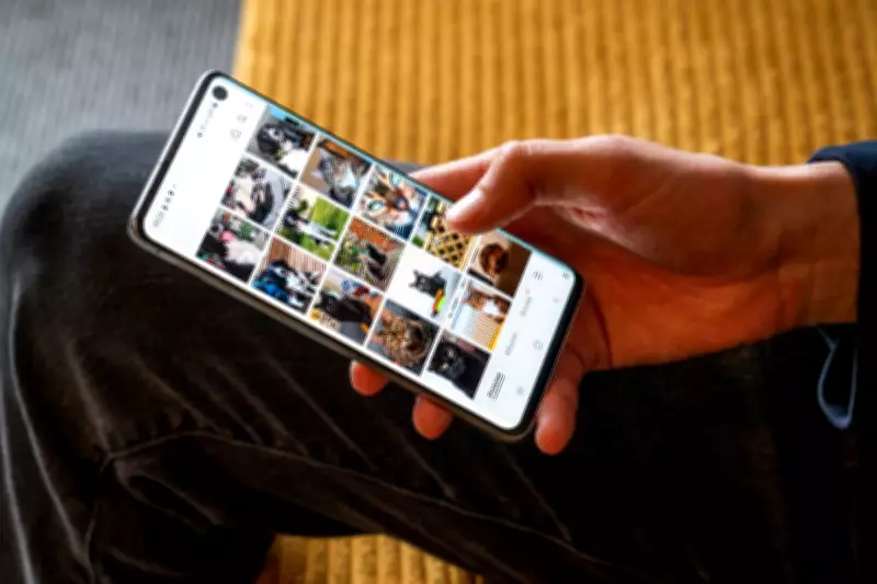 Pet Photos Dominate Phone Galleries, Outnumbering Loved Ones