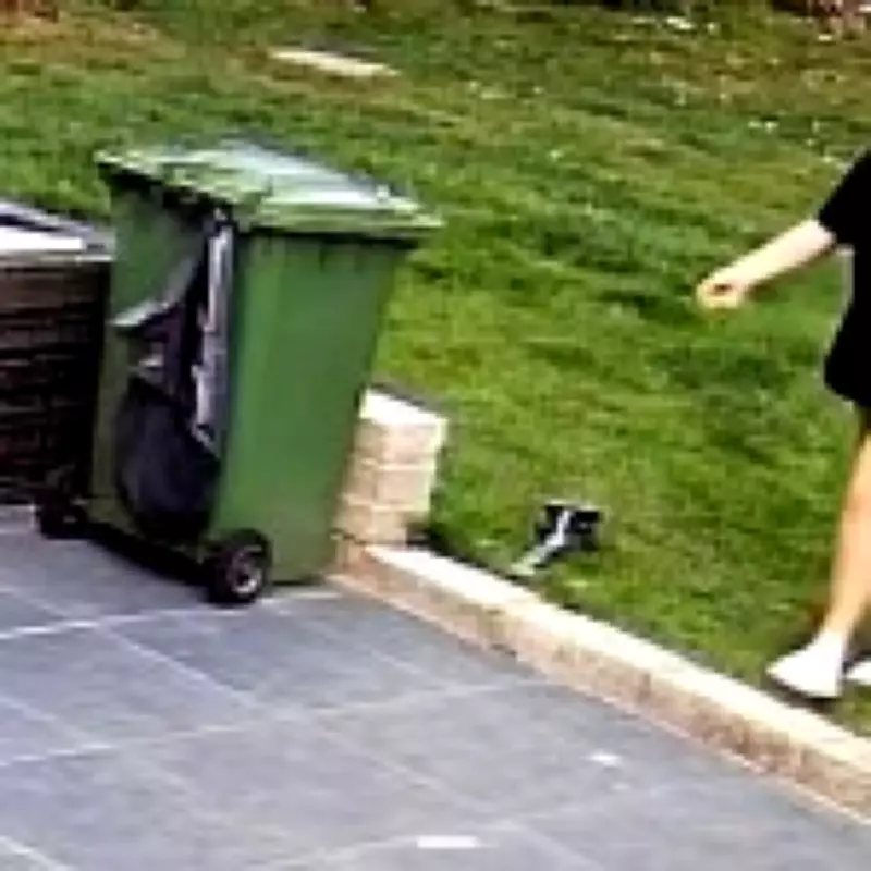 Pet Sitters Convicted for Abusing Dogs While Owners Were on Holiday