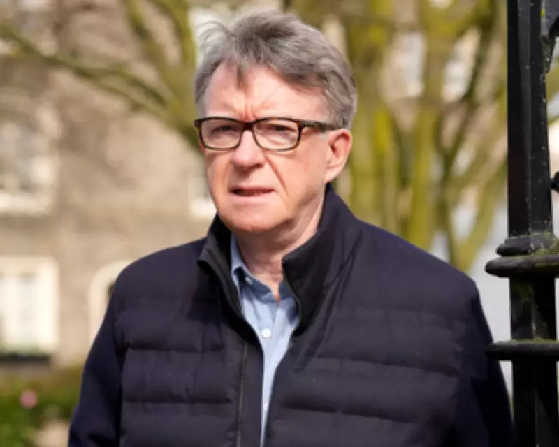 Peter Mandelson Faces £300 Fine for Public Urination Incident