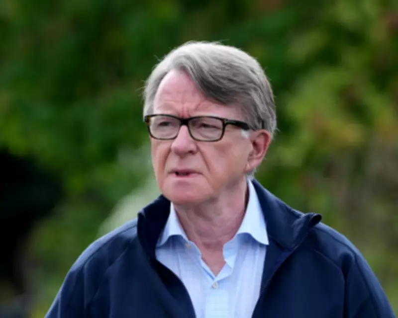 Peter Mandelson's Security Vetting Controversy: Key Terms Explained
