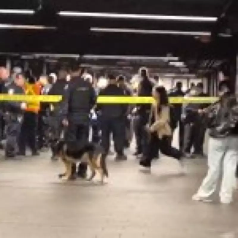 Police Shoot Attacker After Machete Stabbing Spree at Grand Central Station