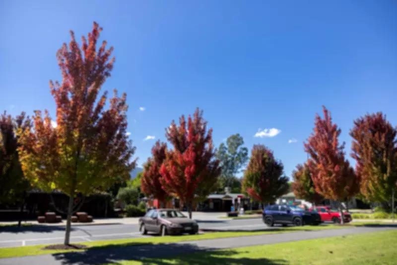 Porepunkah's Polarization Over Fugitive Dezi Freeman's Legacy