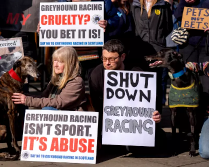 Pressure Mounts on Starmer to Ban Greyhound Racing in England