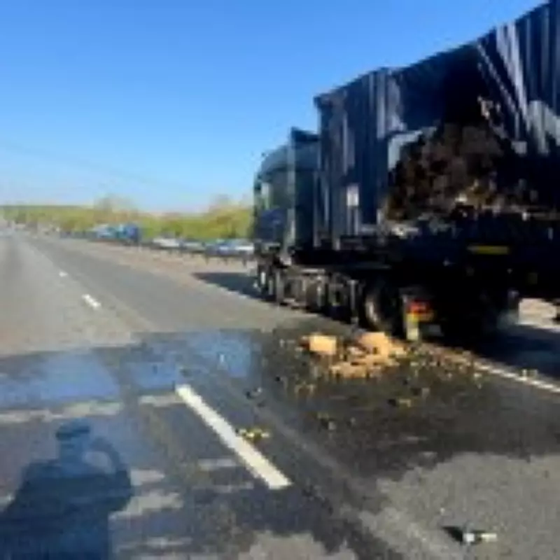Prosecco Spills on M4 After Lorry Crash, Closing Highway for Hours