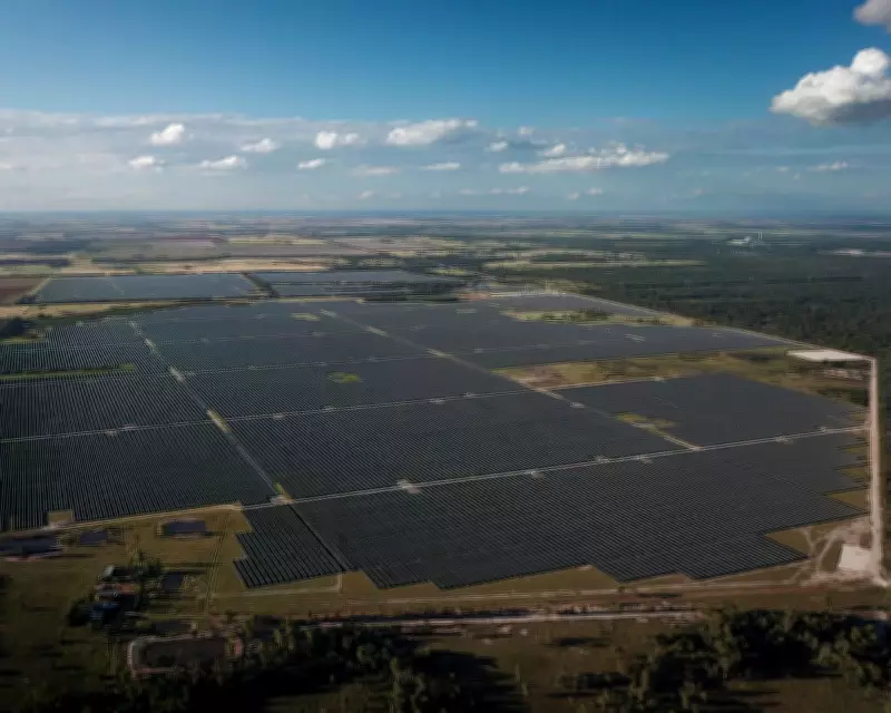 Queensland Renewable Energy 'Whiplash': Investment Plunges After Policy Shift