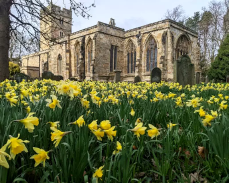 Quiet Vitality of a Well-Managed Churchyard: Nature's Haven