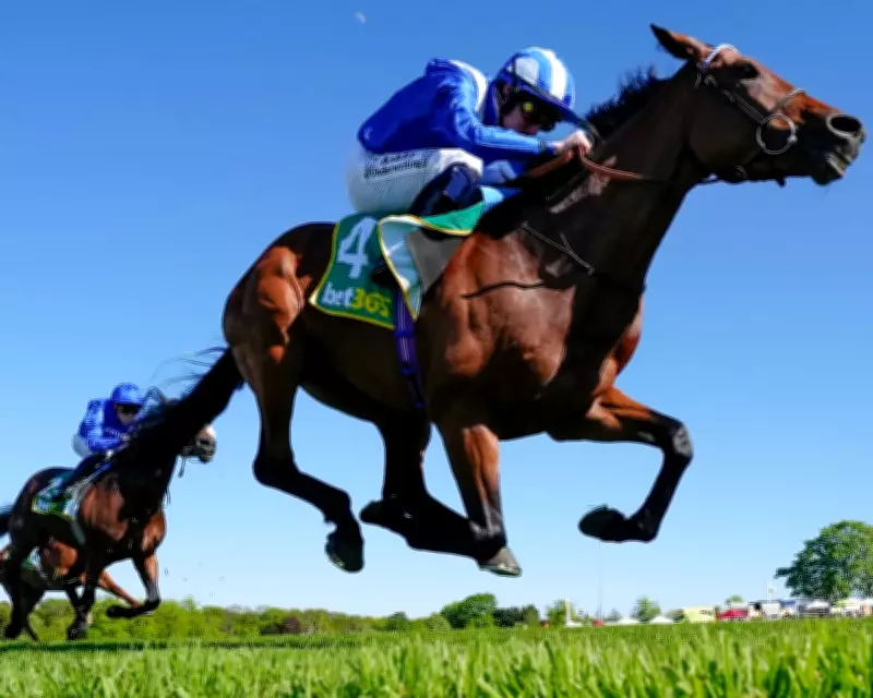 Raaheeb's Derby Odds Plummet After Impressive Classic Trial Win