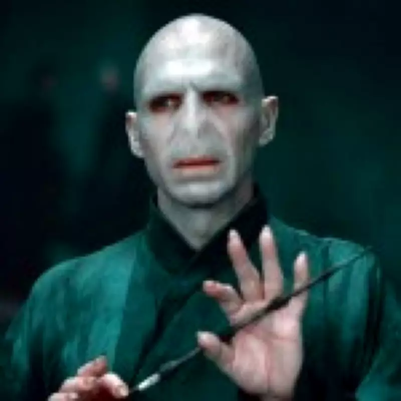 Ralph Fiennes Explains Why He Won't Return as Voldemort in Harry Potter Reboot