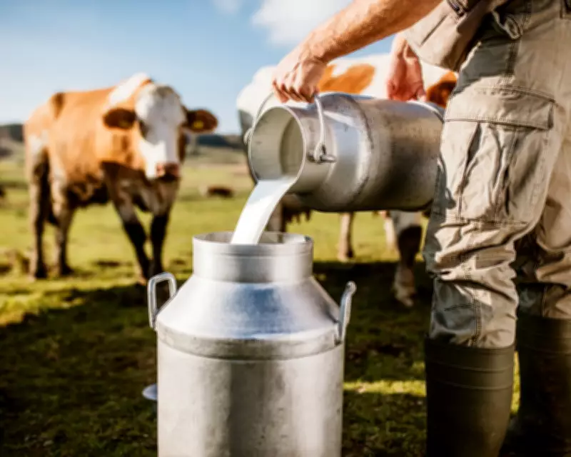 Raw and 'Brewed' Milk Demand Surges in UK as Consumers Seek Less Processed Options