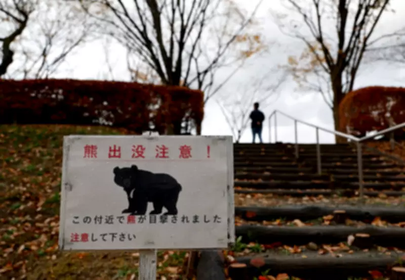 Record Bear Sightings in Japan Spark Alarm After Hibernation