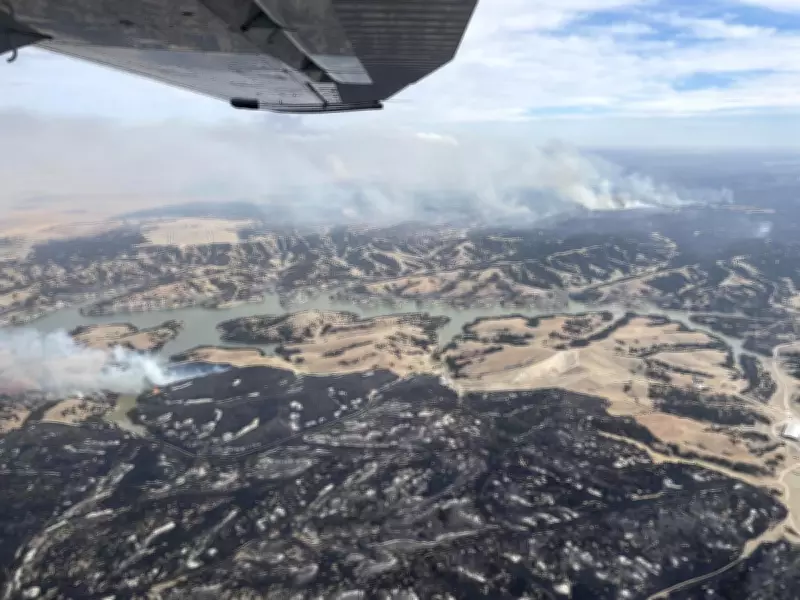 Record Wildfires Devastate US Cattle Country, Leaving 'Tree Skeletons'