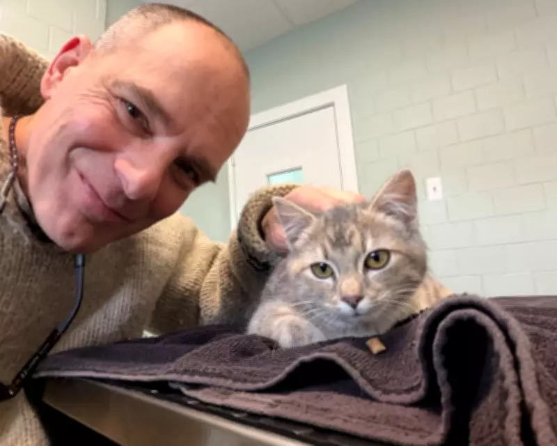 Rescued from Ice: The Heartwarming Tale of Chilly the Kitten in Detroit