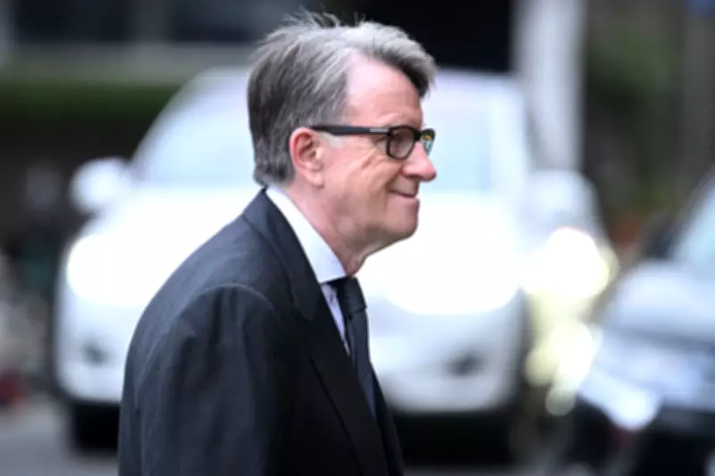 Robbins to Defend Mandelson Vetting Decision Amid 'Thrown Under Bus' Claims