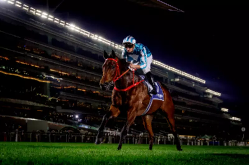 Romantic Warrior Aims for Historic Fourth QEII Cup Victory