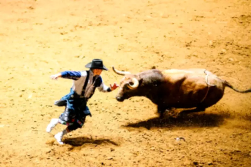 San Antonio Rodeo: Where Cowboy Culture Meets Texas Heritage