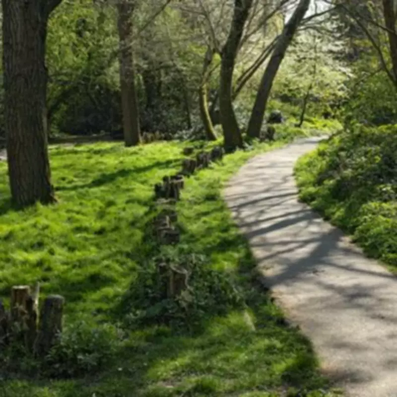 Scenic South London Thames Walk: 6 Miles of Nature, History & 10,000 Steps