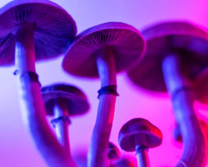 Sci-Fi & Horror Roundup: Climate Thrillers, Haunted Chapels, and Gothic Mysteries