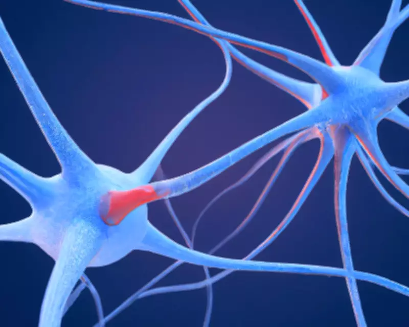Scientists Map Unique Brain 'Fingerprint' of Psychedelic Drugs