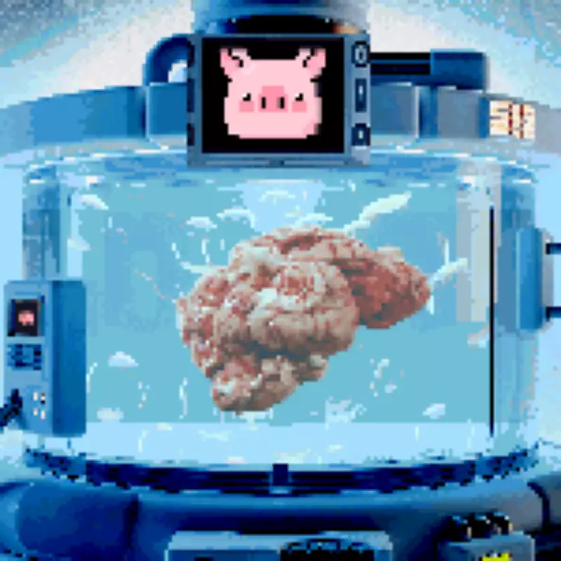 Scientists Preserve Pig Brain, Paving Way for Future Human 'Reanimation'