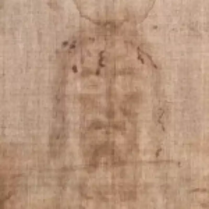 Shroud of Turin Mystery Deepens as Carrot and Cat DNA Found on Relic