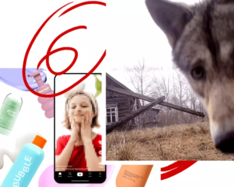 Six Great Reads: Toddler Skincare on TikTok, Indian Gangster, Chornobyl Rewilding