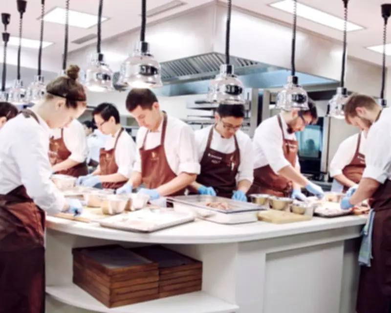 Social Media Chefs Lure Young Away from Classic Culinary Training