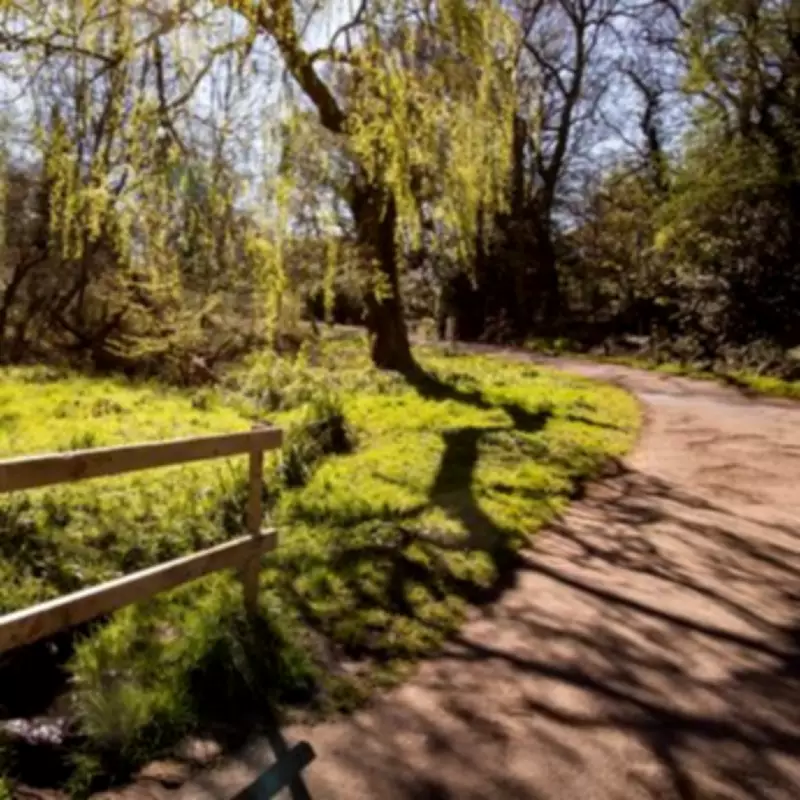 South London Park with Free Farm and Cult Film History