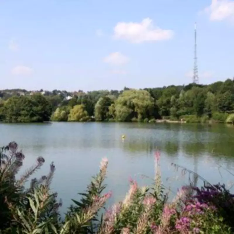 South Norwood Lake Walk: A Countryside Escape in Croydon