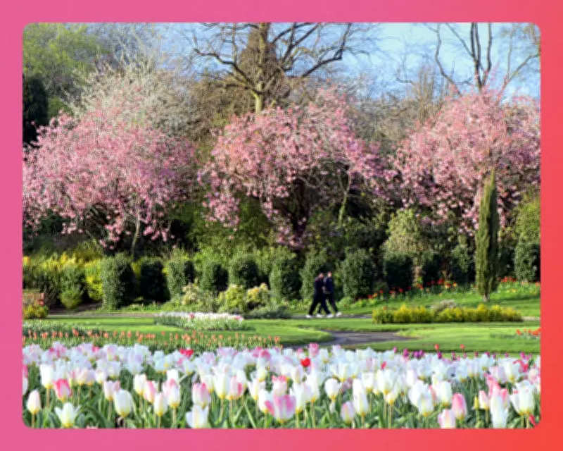 Spring Bank Holiday Essentials: 36 Top Tips, Treats, and Buys