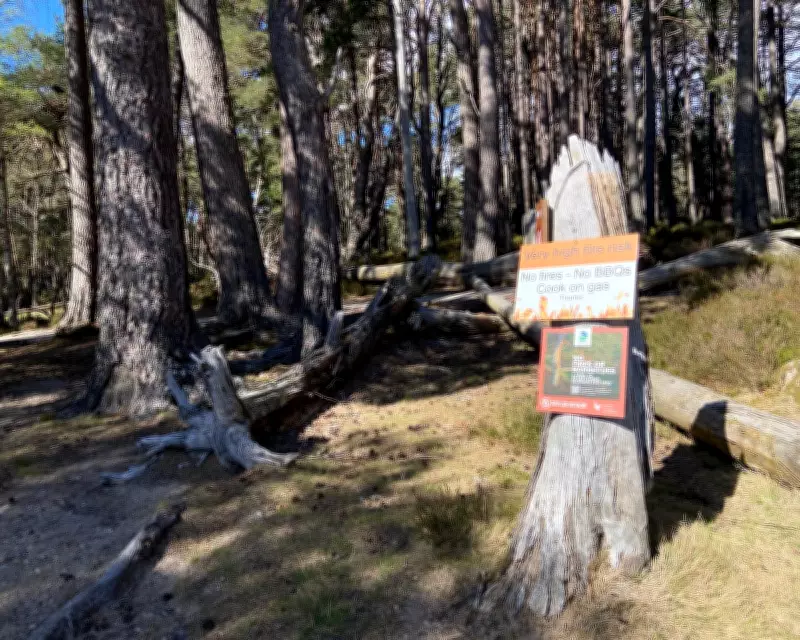 Spring in Cairngorms: New Barbecue Ban Aims to Prevent Wildfires