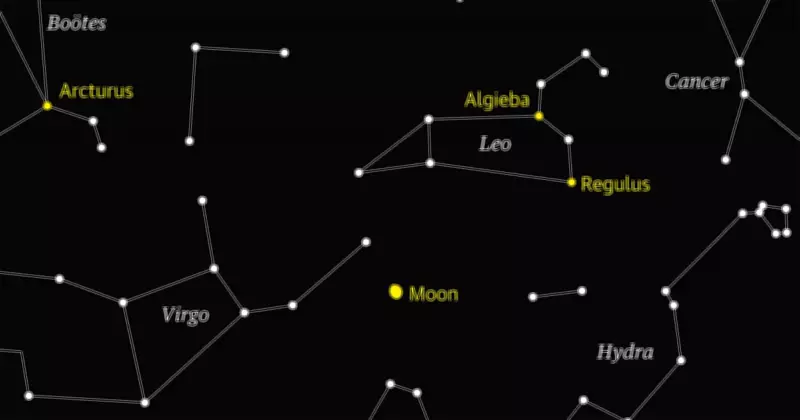 Starwatch: Leo the Lion Dominates Northern Hemisphere Spring Skies