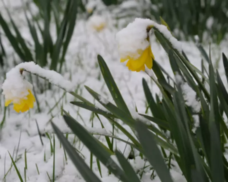 Storm Dave Threatens UK with 90mph Winds and Snow Over Easter Weekend