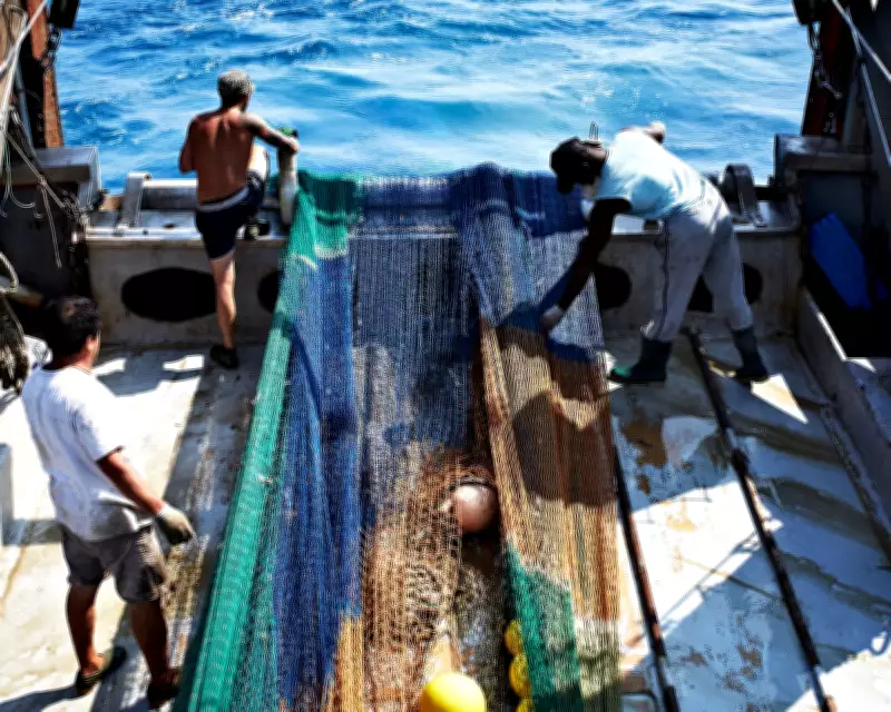 Study Accuses MSC's 'Blue Tick' of Masking Forced Labour in Fisheries